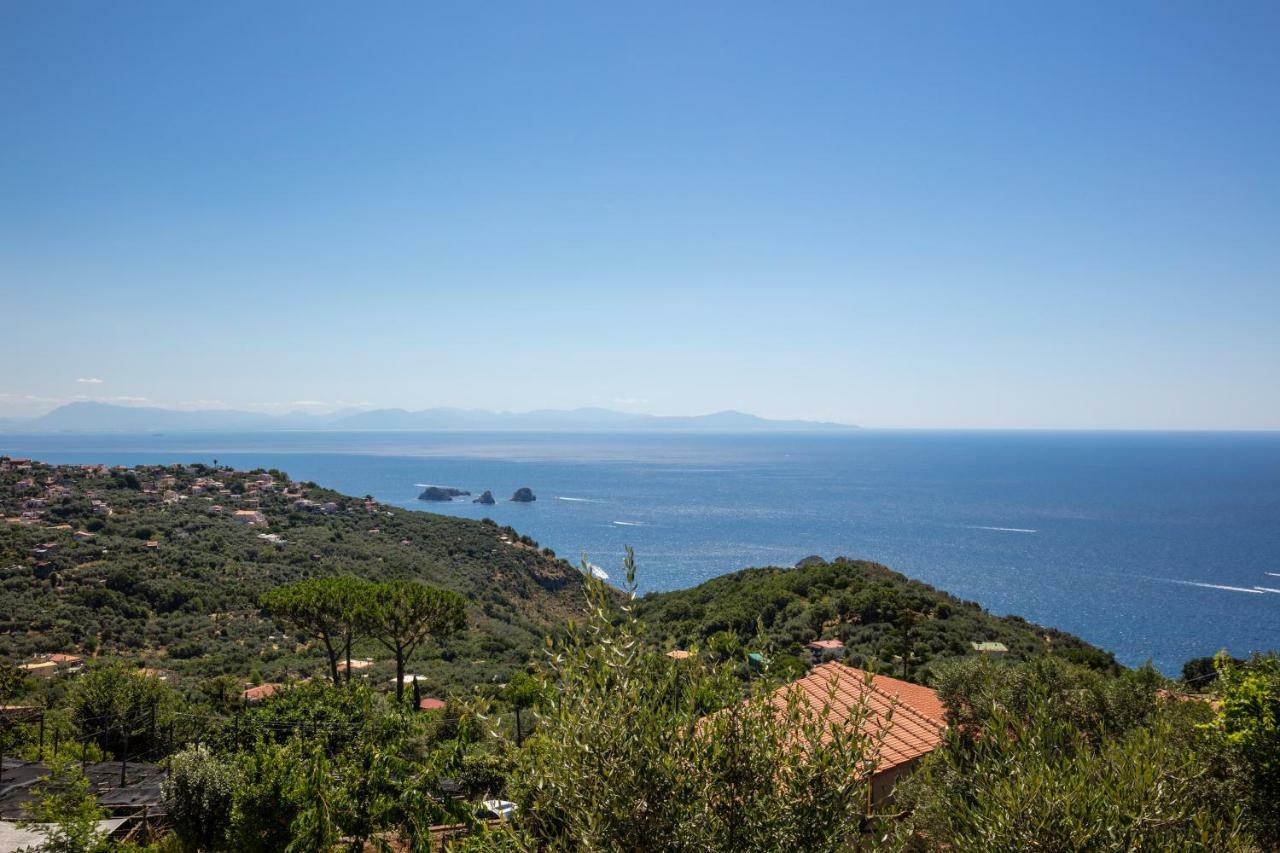 Geca'S House - Panoramic Sea View Studio Massa Lubrense Extérieur photo